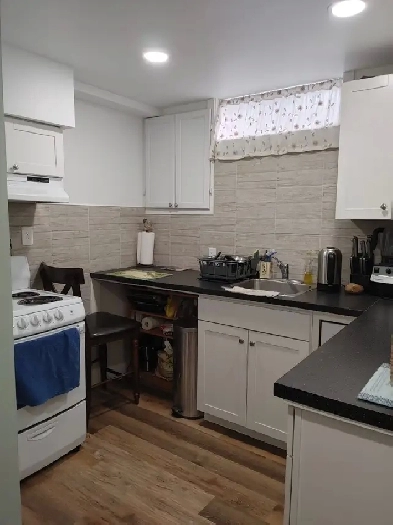 Clean and bright furnished basement suite in Woodbine SW Image# 3
