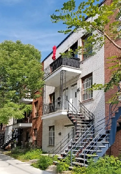 6 1/2 Hochelaga-Maisonneuve, métro Joliette Image# 4