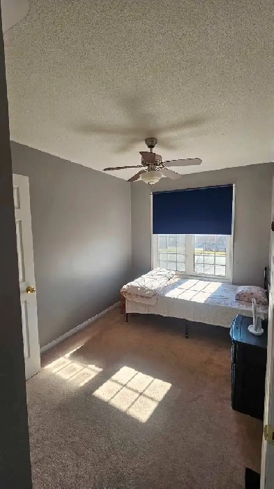 Private Room for Rent Image# 3