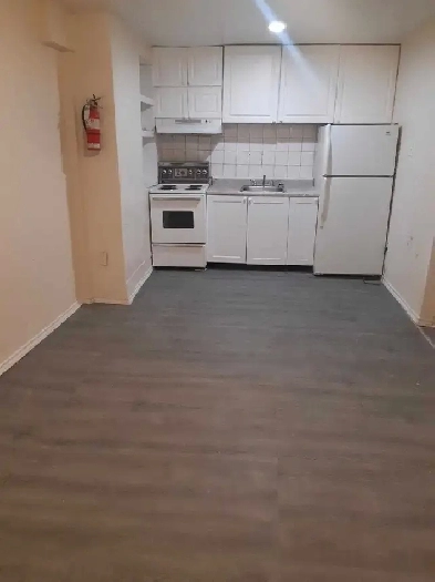1 Bedroom 1 Bathroom Appartment on Davenport and Symington Image# 2