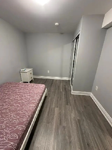 Private one bedroom available in two bedroom basement Image# 1