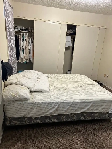Very Large Bright Upstairs Bedroom for Rent Image# 3