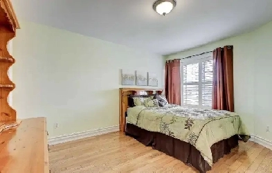 Single private room for rent Image# 1