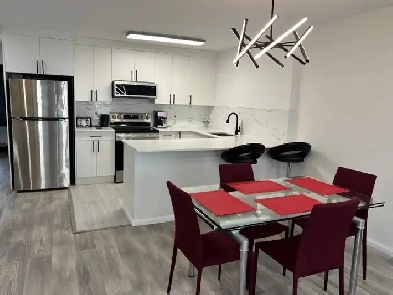 Colocation au centre ville / Downtown roommate Image# 7