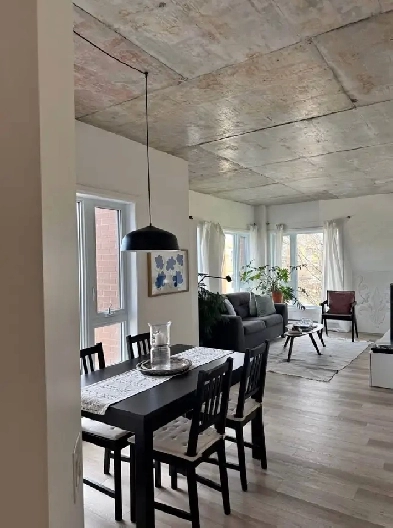 appartement à louer à Limoilou Image# 2