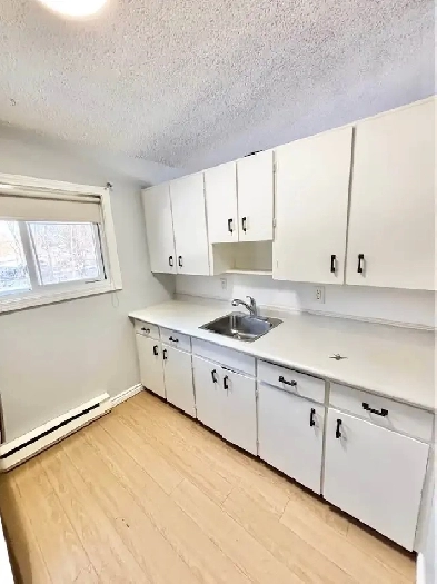Bright & Spacious 2-Bedroom Apartment Image# 3