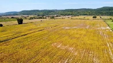 Fassett : Terre agricole de culture de 98 acres Image# 2