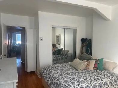 Charmant 3 ½  Rénové au coeur de Parc-Extension Image# 1