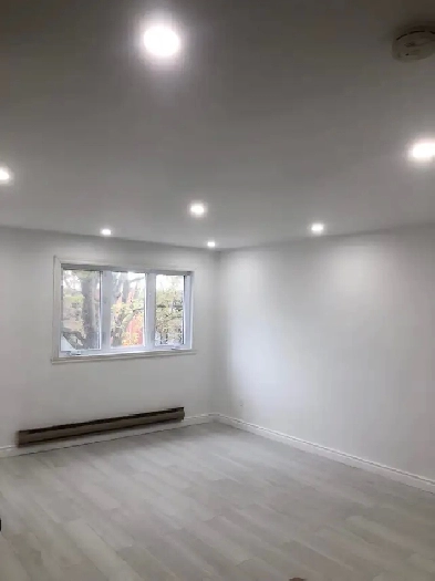 Amazing 5 1/2 Lasalle Image# 1