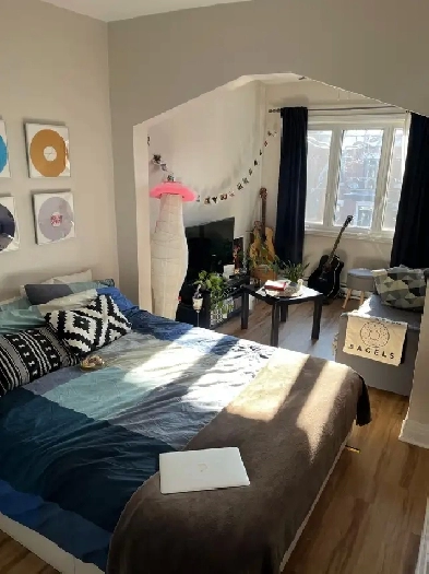 3 1/2 meublé tout inclus sauf Hydro, Rosemont, 1400$/mois Image# 1