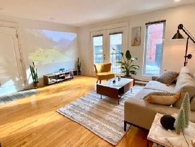 Bright spacious 4 1/2 apartment in Plateau Montreal (furnished) Image# 1
