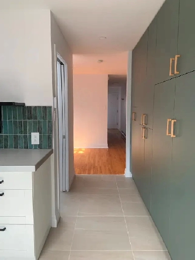 4 ½ rénové – idéal pour couple – électros inclus – Rosemont – Image# 7