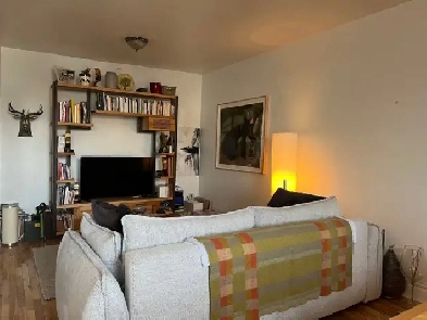 Charment appartement sur le Plateau Mont-Royal Image# 2
