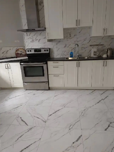 superb 2 bedrooms fully furnished equipped PLATEAU Image# 8