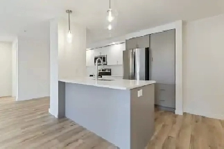 New 2 bedroom, 2 bath pet friendly apartment Image# 1