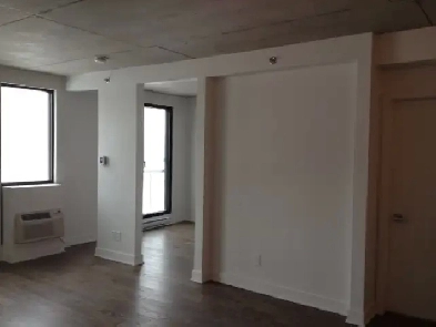 1Bedroom condo in Griffintown Montreal Image# 1