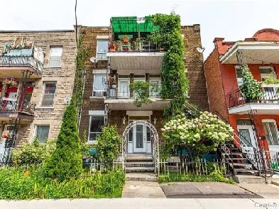 Tout rénové ! Petite Italie. Image# 1