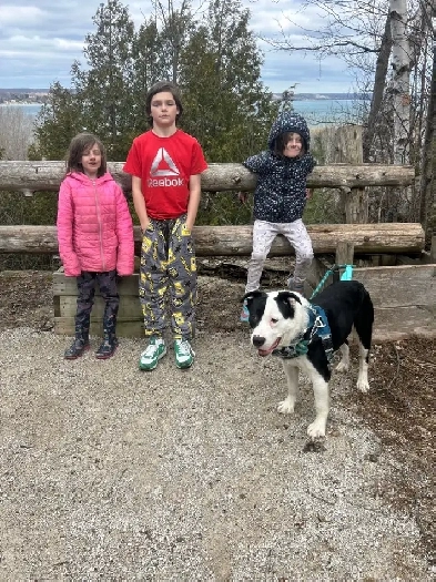 Family of 5 looking for 3-4 bedroom home Image# 2