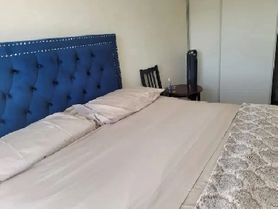 BEAUTIFUL ROOM FOR RENT - DON'T PAY FOR MAY. Image# 1