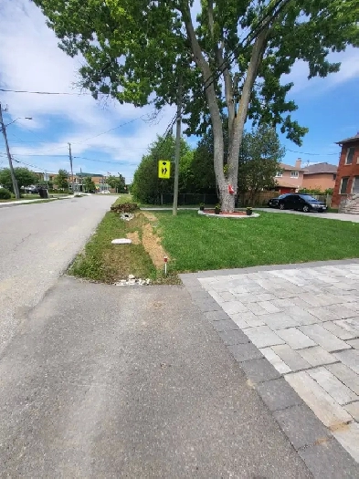 2 BR Basement Apartment for Rent - Scarborough Image# 9