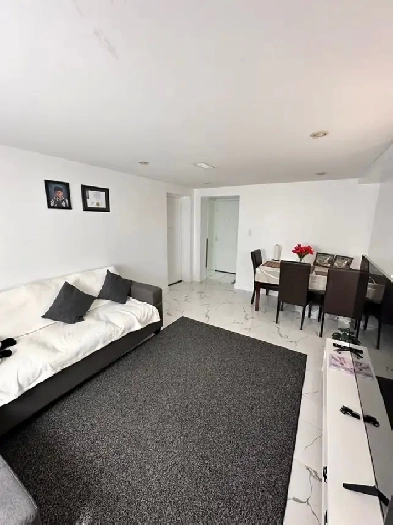 One bedroom apartment (semi basement) Image# 9