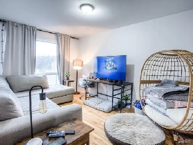 Bright corner 2-bedroom apartment near Thomas Chapais Park! Image# 1