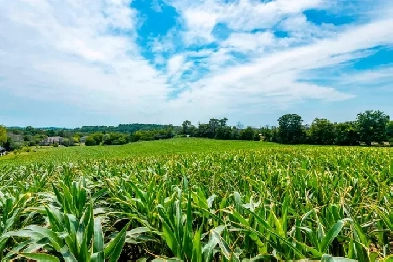 15.2 Acres of Land for Sale in Hamilton Township Image# 7
