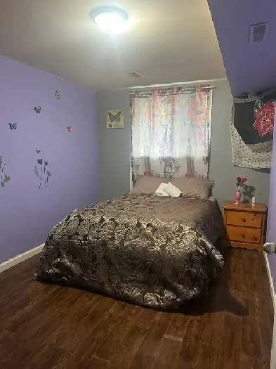 Fully furnished Basement for rent! Image# 3