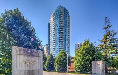 Best One Bdrm Condo on the Market for Sale! Modern and Custom! Image# 2