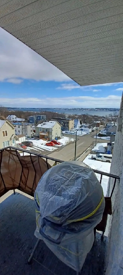 Logement à louer pour le 1er Juillet Image# 4