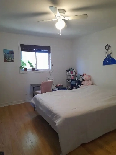 Highway 7 and Bayview. Room for girls Image# 1