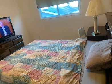 Furnished Room Rental Image# 1