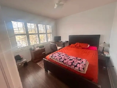 Private room available for a couple or two girls Image# 1