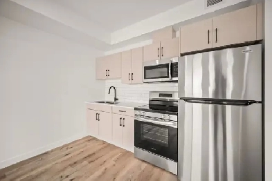 Luxury Bachelor Suite for Rent in Garden City! Image# 6