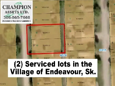 (2) Vacant Service Lots -Village of Endeavour, Sk Image# 2
