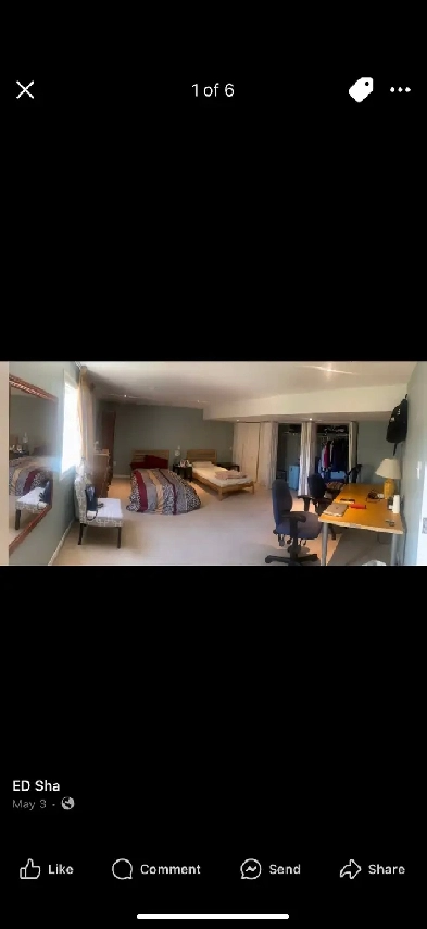 MASTER BEDROOM IN  WALK OUT APARTMENT FOR RENT AT 21 MOSS Image# 1