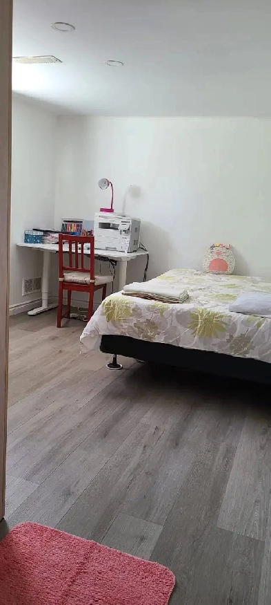 Recently renovated basement for rent close to Warden Ave and 401 Image# 5