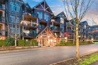 Bright Top Floor Penthouse! Image# 1