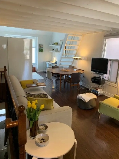 LOFT FURNISHED 2 BEDRM JULY to SEPT RIVERDALE (bldg) Image# 4