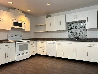 Comfortable 2-Bedroom Basement Suite in Hunter Park – Cloverdale Image# 10