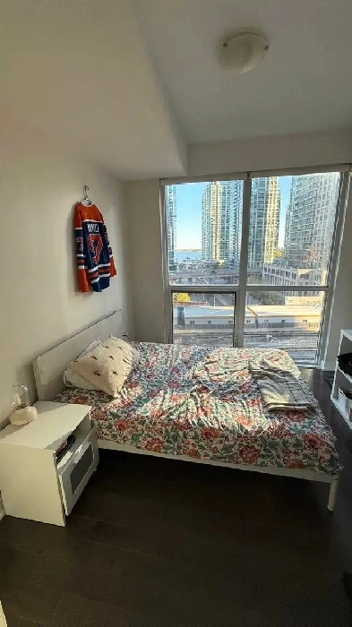 Sunny Luxury Condo with a View - Downtown Toronto Image# 7