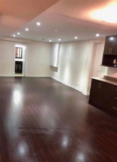 Cozy 2 Bedroom Basement in Ajax Image# 2