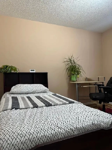 Private Room in a house, Close to Bus Stop, Brampton, furnished Image# 8