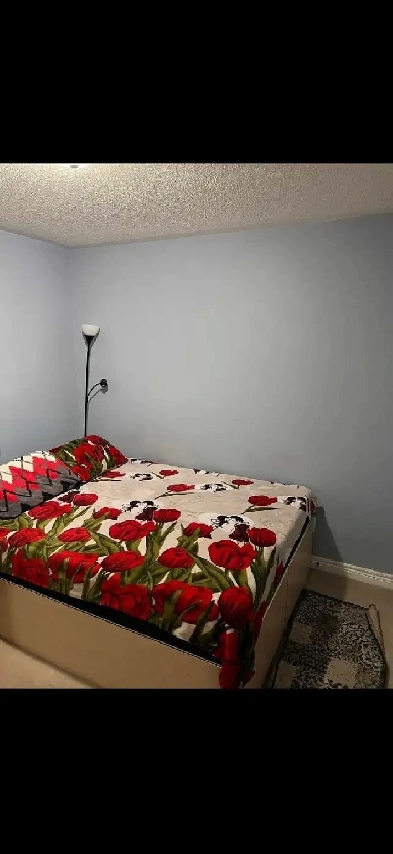 ROOM AVAILABLE FOR ONE GIRL Image# 3