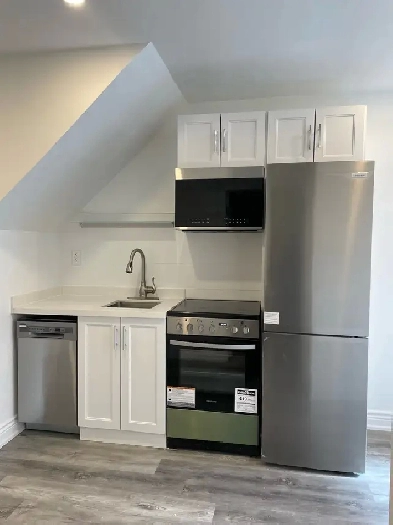 Leslieville/Beaches Brand New Basement Apartment Image# 9