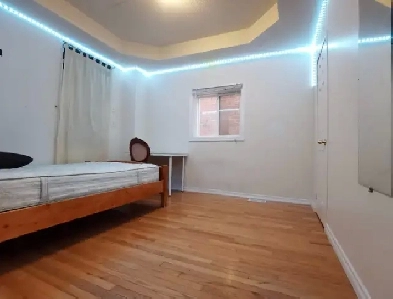 Free Laundry internet utility York University queen size bedroom Image# 1