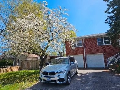 3 Bed Basement apartment in Scarborough (Prime Location) Image# 14