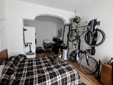 Plateau colocation - Roomate wanted Image# 7