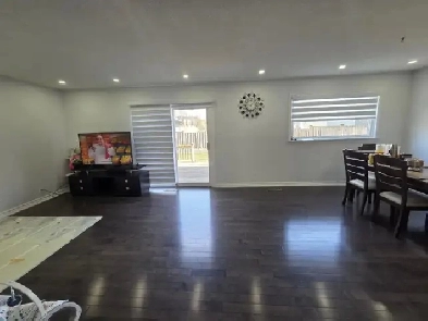 Room for Rent Image# 2