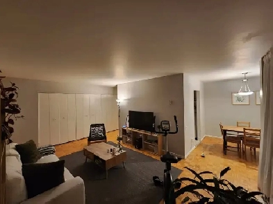 Lease transfer : 2 Beds 1 Bath Apartment - Île des Sœurs Image# 7
